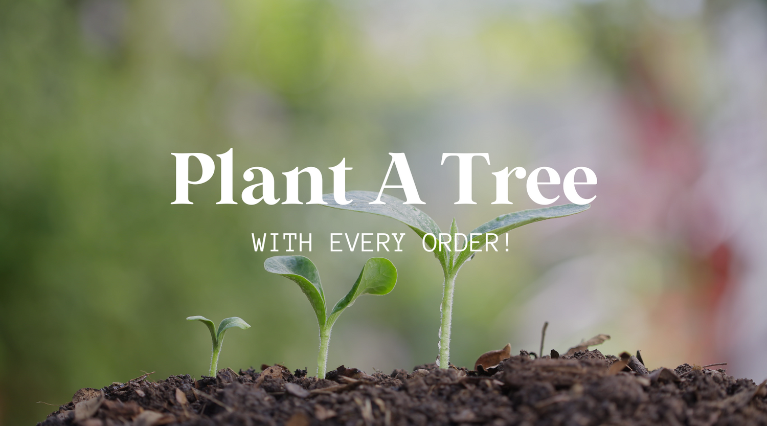 Plant A Tree Blog Cover Photo